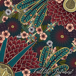 Call the Botanist Album Cover