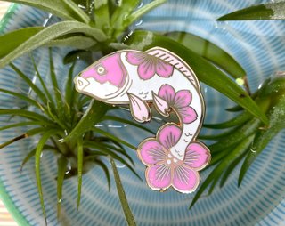 Sa-koi-ra